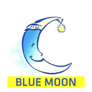 Blue Moon, Educación inicial para niños de 10 meses a 5 años