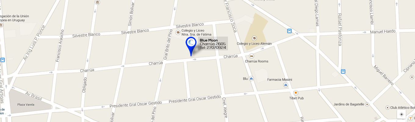 Blue Moon, Educación inicial para niños de 10 meses a 5 años